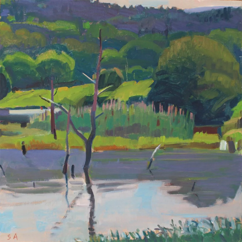 7_7_15CattailSwampSunnyMorning.jpg