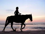 Do not go where the path may lead, go instead where there is no path and leave a trail. Ralph Waldo Emerson