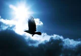 Live with intention. Walk to the edge. Listen hard. Practice wellness. Play with abandon. Laugh. Choose with no regret. Continue to learn. Appreciate your friends. Do what you love. Live as if this is all there is. Mary Anne Roadacher-Hershey