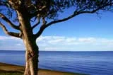 We need time to dream, time to remember, and time to reach the infinite. We need time to be. Gladys Tabe