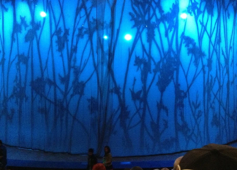 Cavalia's Odysseo, Burbank, California Photo: Lynne Azpeitia