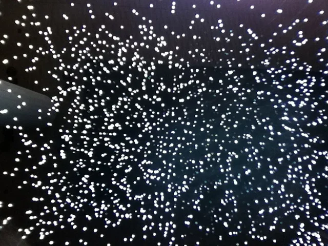 You are the product of your own brainstorm. Rosemary K. Steinbaum Jim Campbell, Exploded Views , 2011, SF MOMA Photo: Lynne Azpeitia 