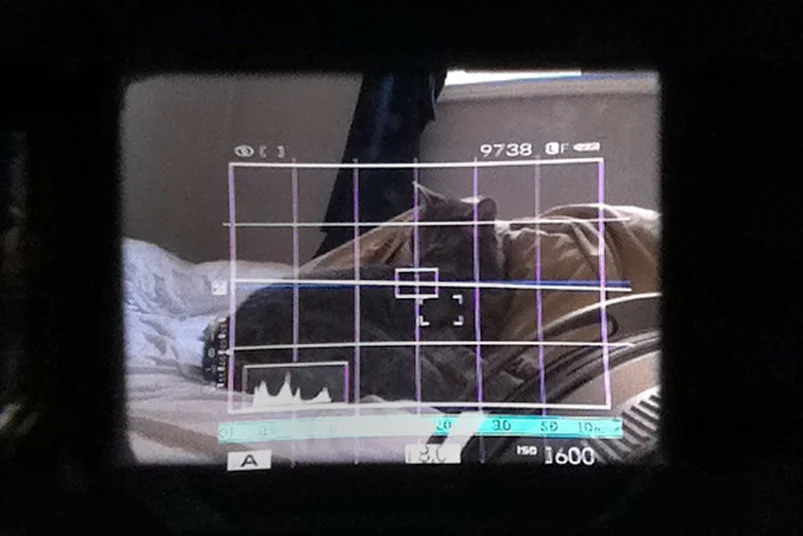 Fuji x100s optical viewfinder in autofocus mode.