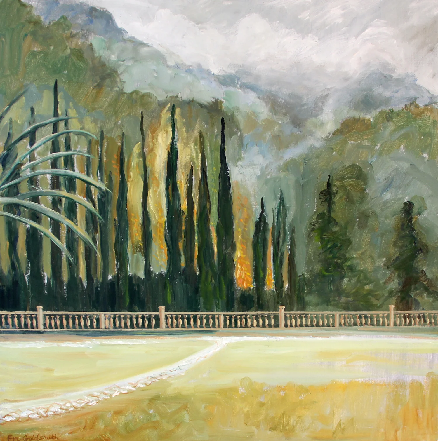 ​Soller (2011)