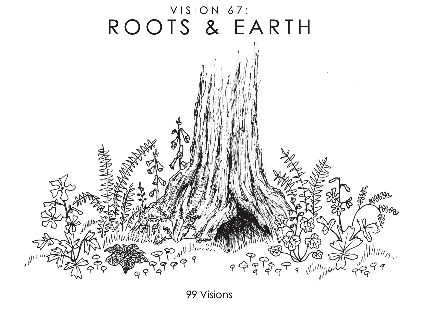roots & earth.jpg