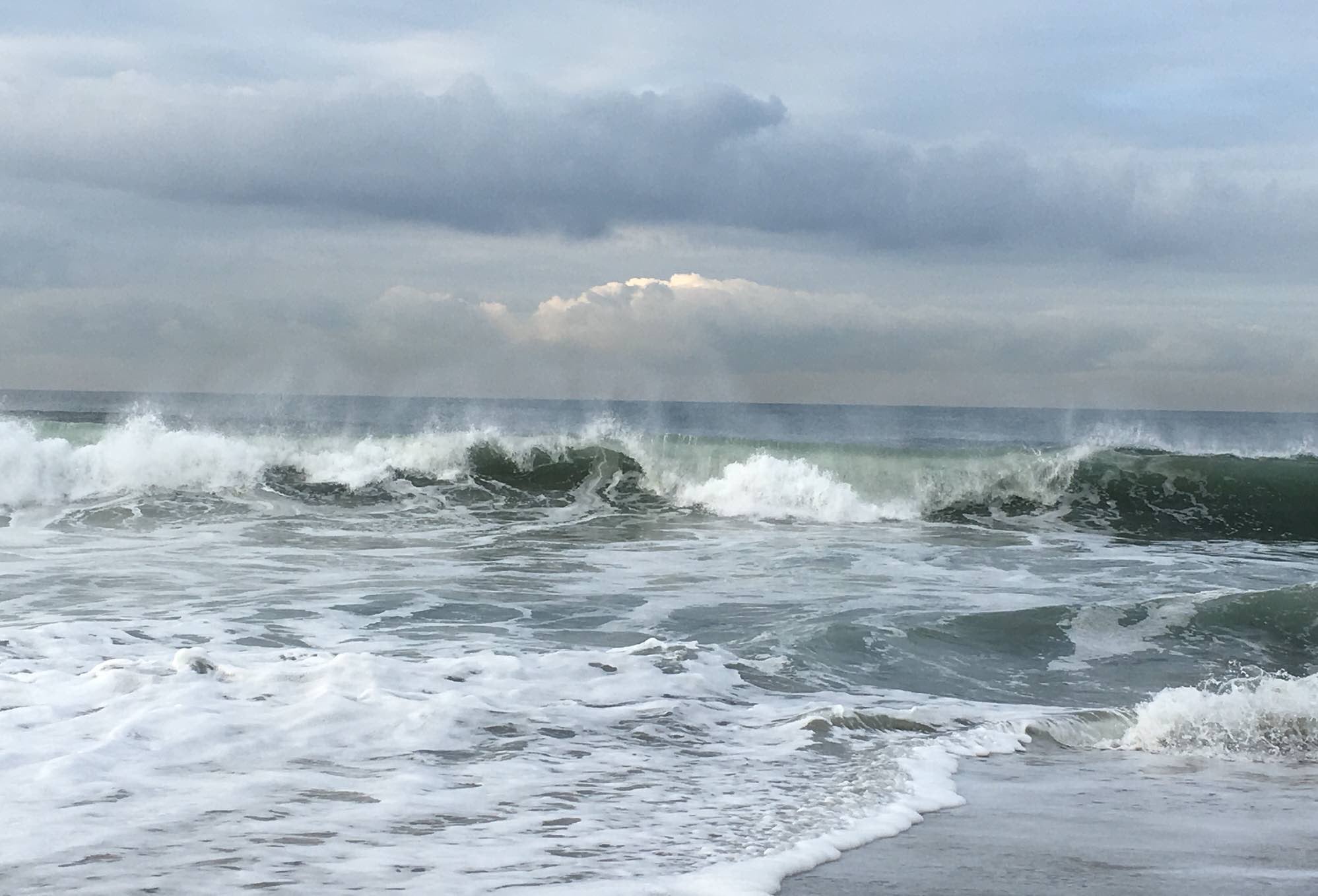 The view from Saturday's New Year, New Moon Nature Meditation in Manhattan Beach.