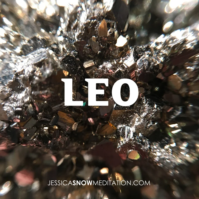 LEO.jpg