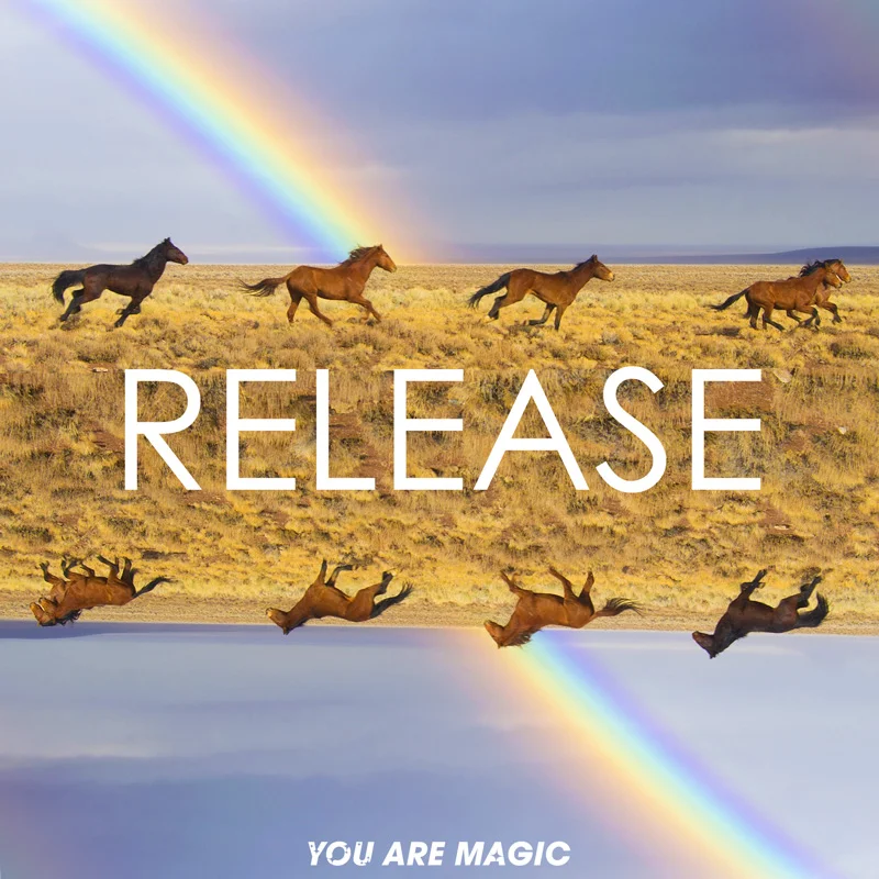 RELEASE.jpg