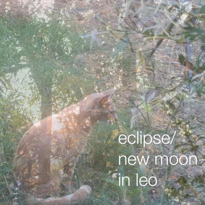 leo-eclipse-copy-square-textx.jpg