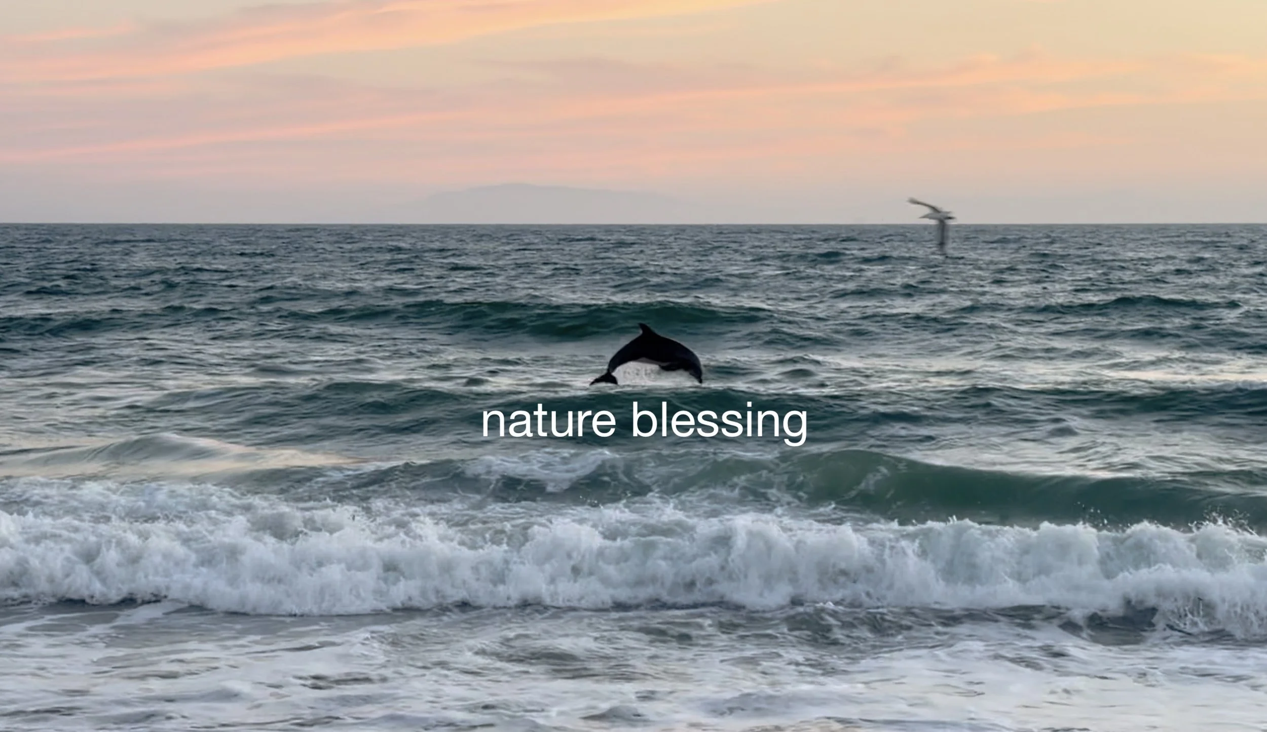 nature blessing.jpg