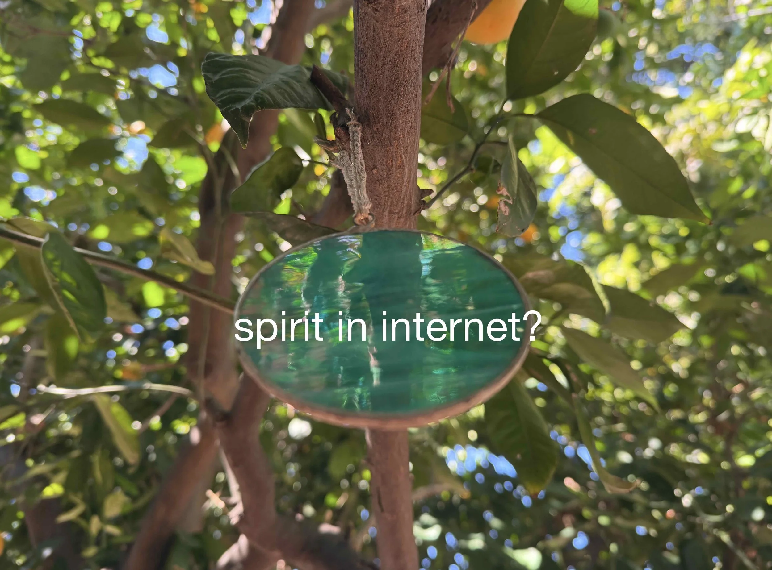 spirit in internet text small.jpg