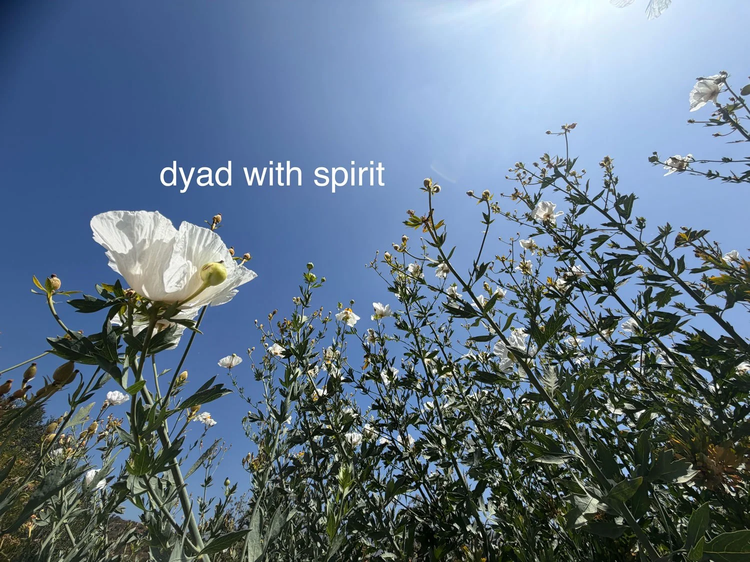 dyad-with-spirit.jpg