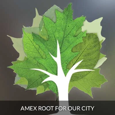 root.jpg