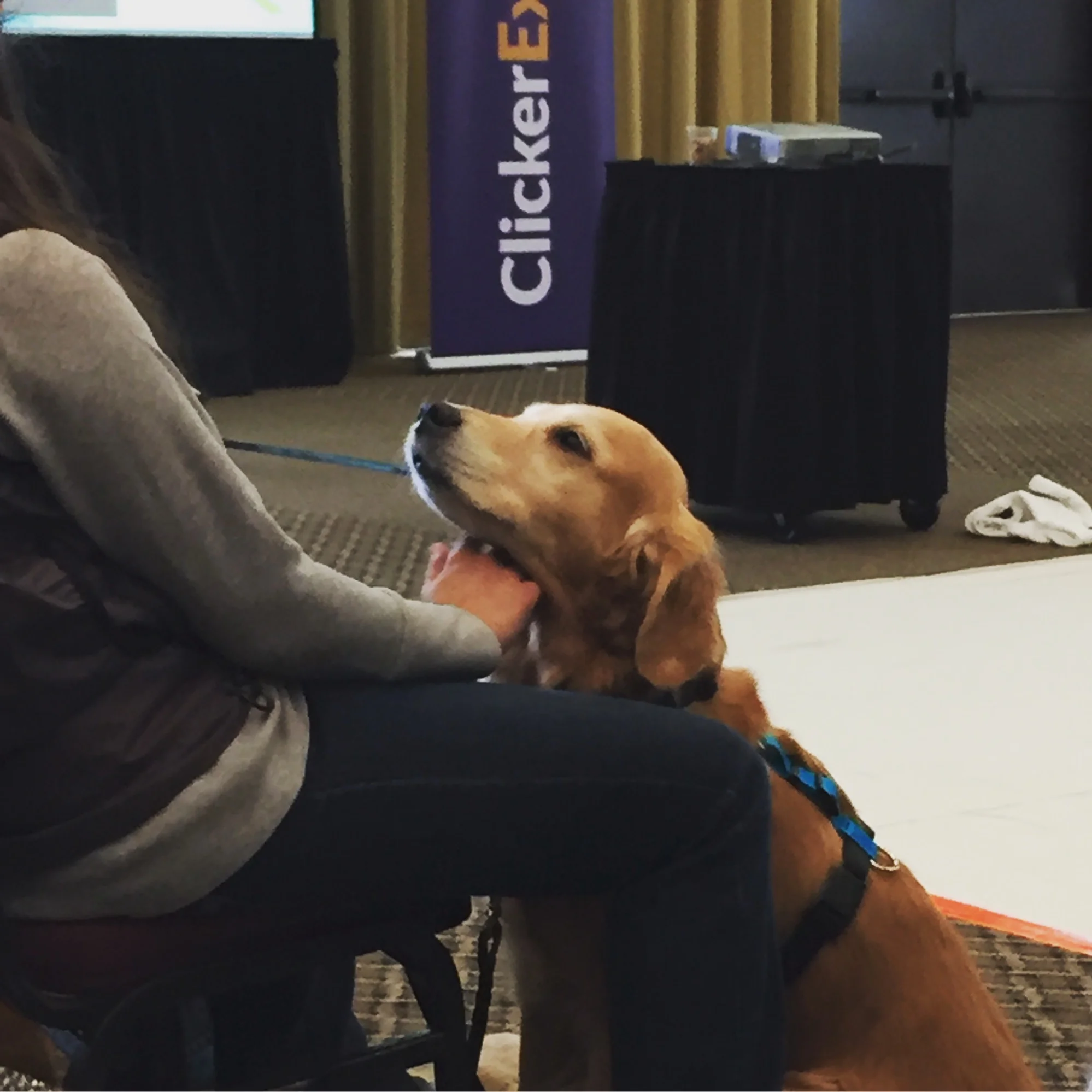 At ClickerExpo in Portland last week