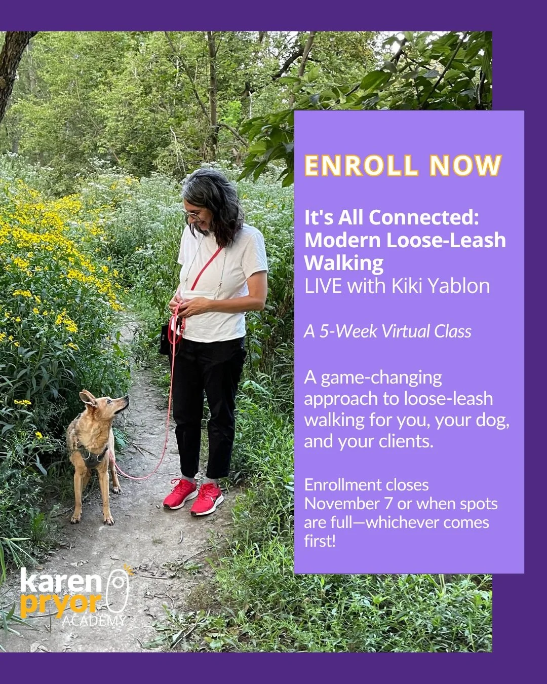 Once a year I teach this five-week class about loose leash walking for Karen Pryor Academy, and the time has come again! Registration is open, access starts October 25, and we start in earnest November 8. Link in bio! 

The course covers how to:
- Re