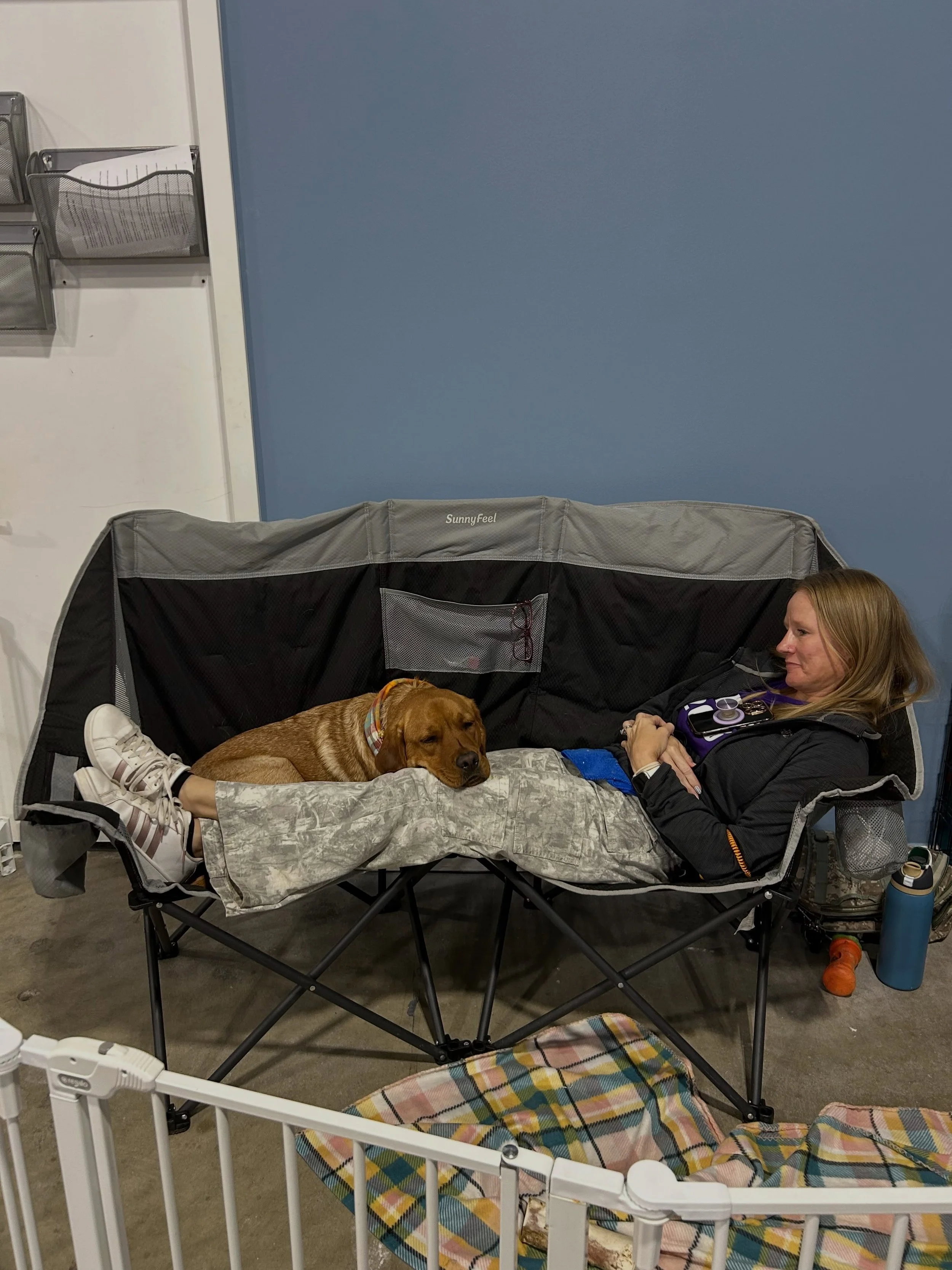 Couple of cute shots from my Karen Pryor Academy workshop in Iowa last weekend. (1) I love the setup that Chrissi and Cinna had for relaxing between exercises. (2) The students keep updating these shirts; it is possible that I curse too much.