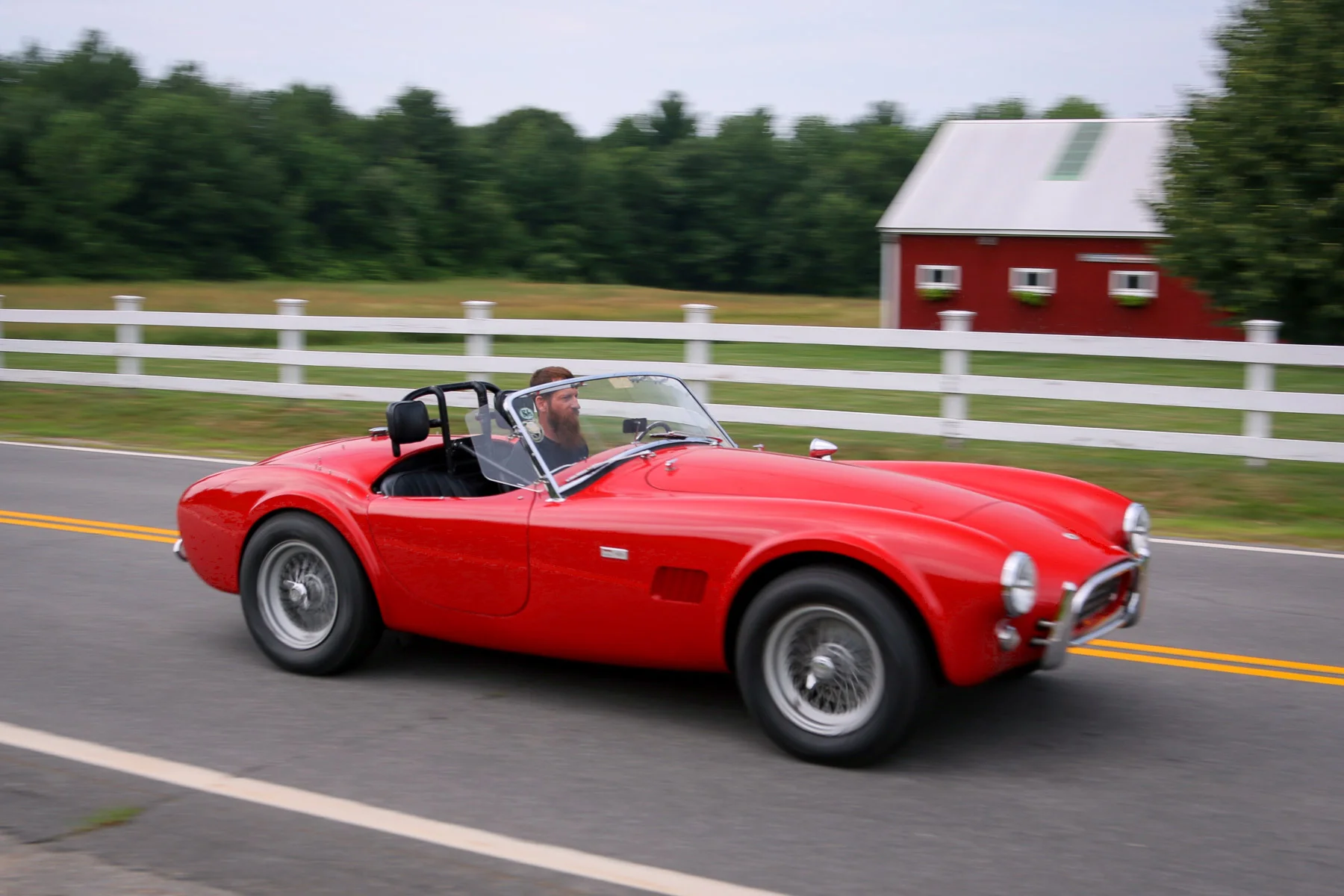 289cobra.jpg