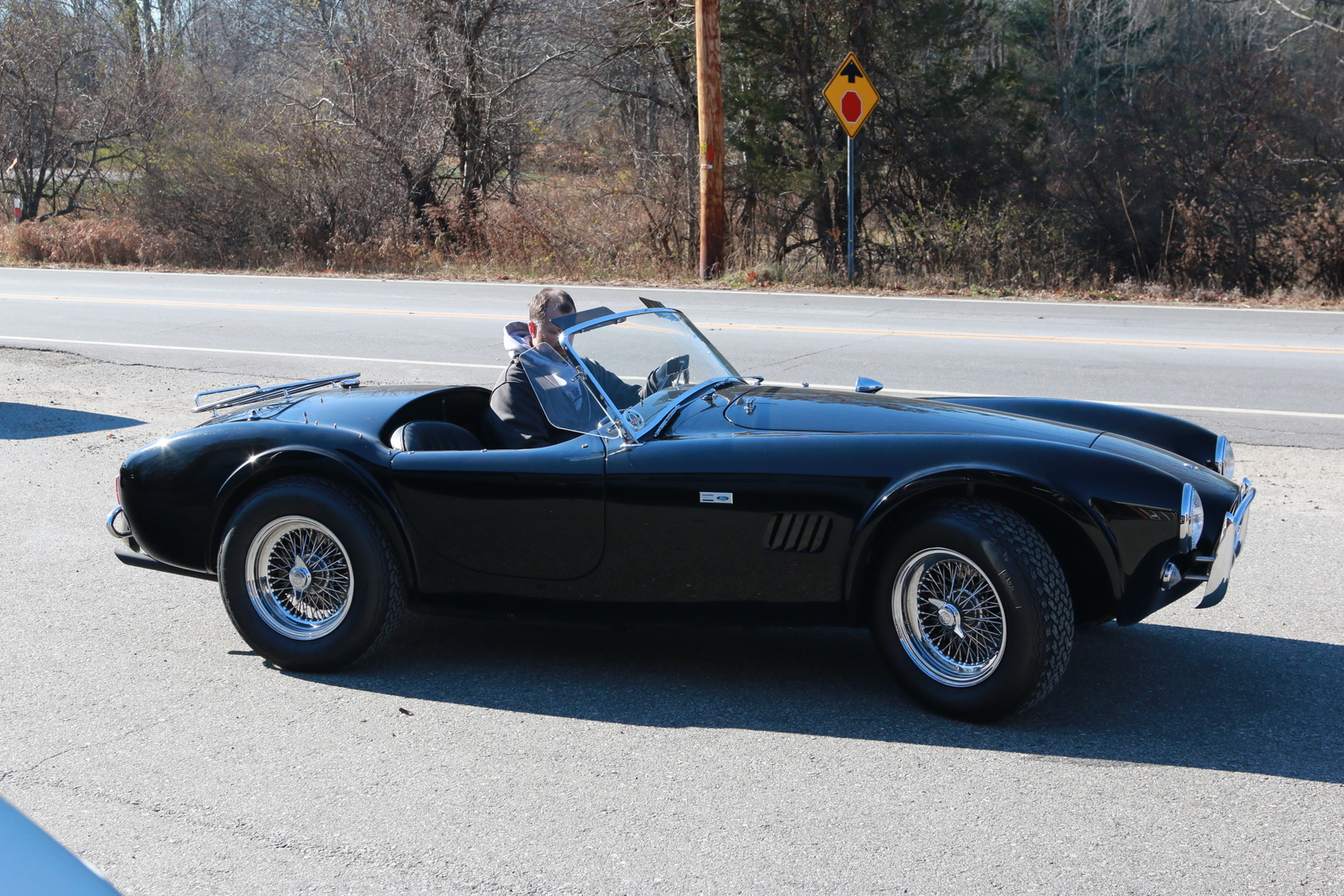 1965 289 Cobra