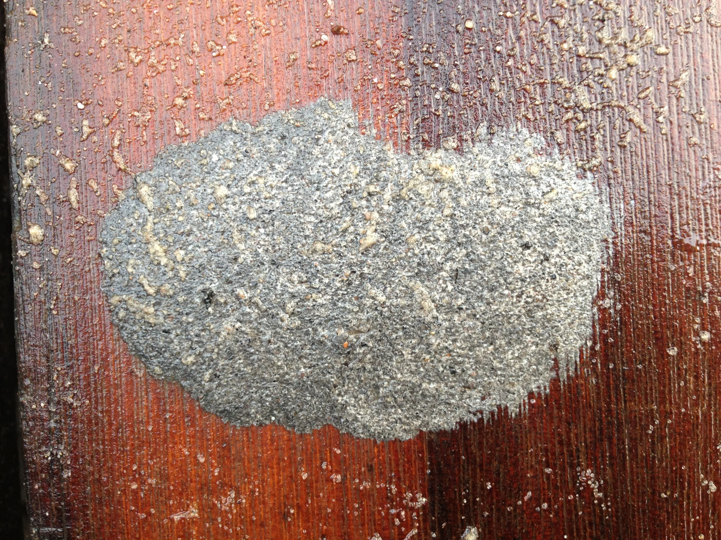 "December 18, 2012, 7:55am, Boardwalk E, Brighton Beach, Brooklyn, NY.” 2012.