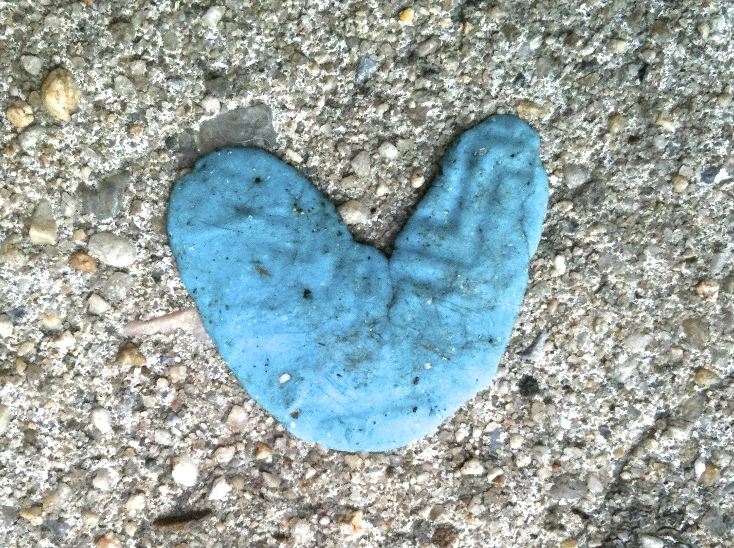 "January 13, 2010 at 2:32 pm, 71st Ave,  Forest Hills, New York”.   2010