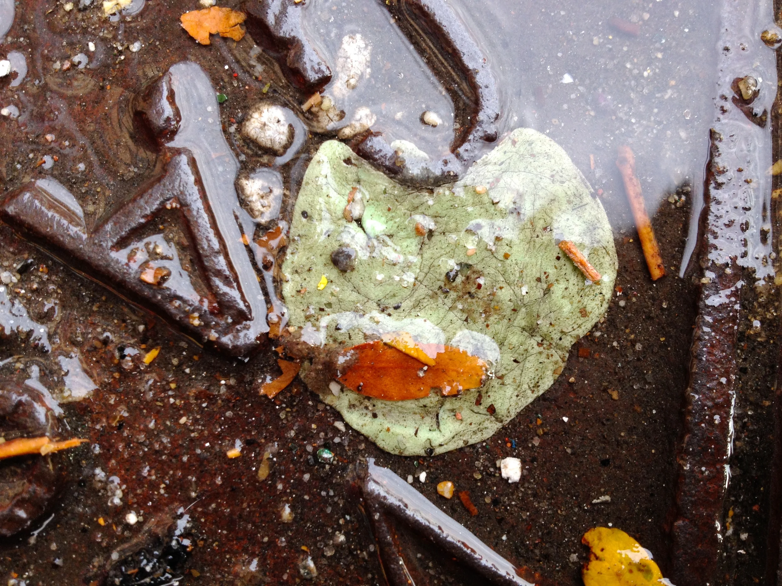 "November 22, 2013, 2:39pm. 31st Ave bet. 43 rd and 44th St, Astoria, New York.” 2013