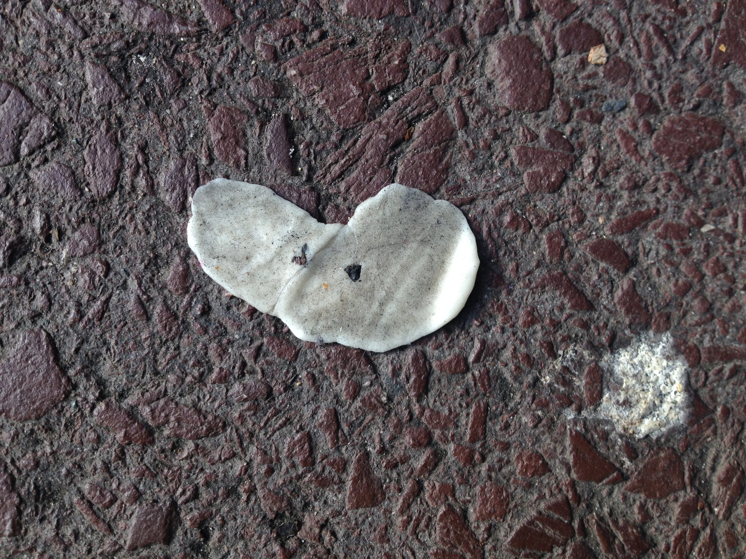 October 29th, 2013, 2:06pm, Under Astoria BLVD Station, Astoria, NY. 2013