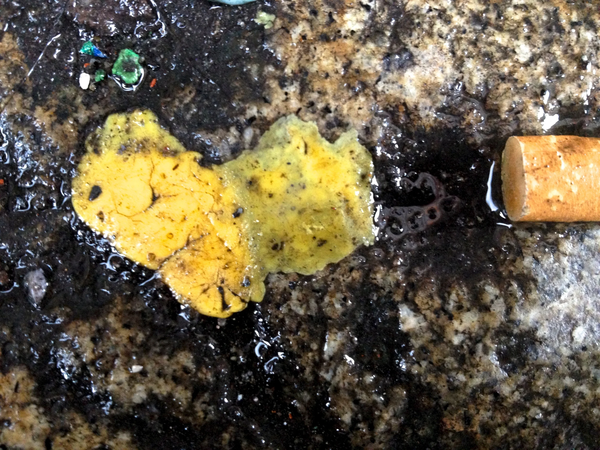 "December 8, 2012, 9:25 am, Park Ave S x 16th St, New York” 2012