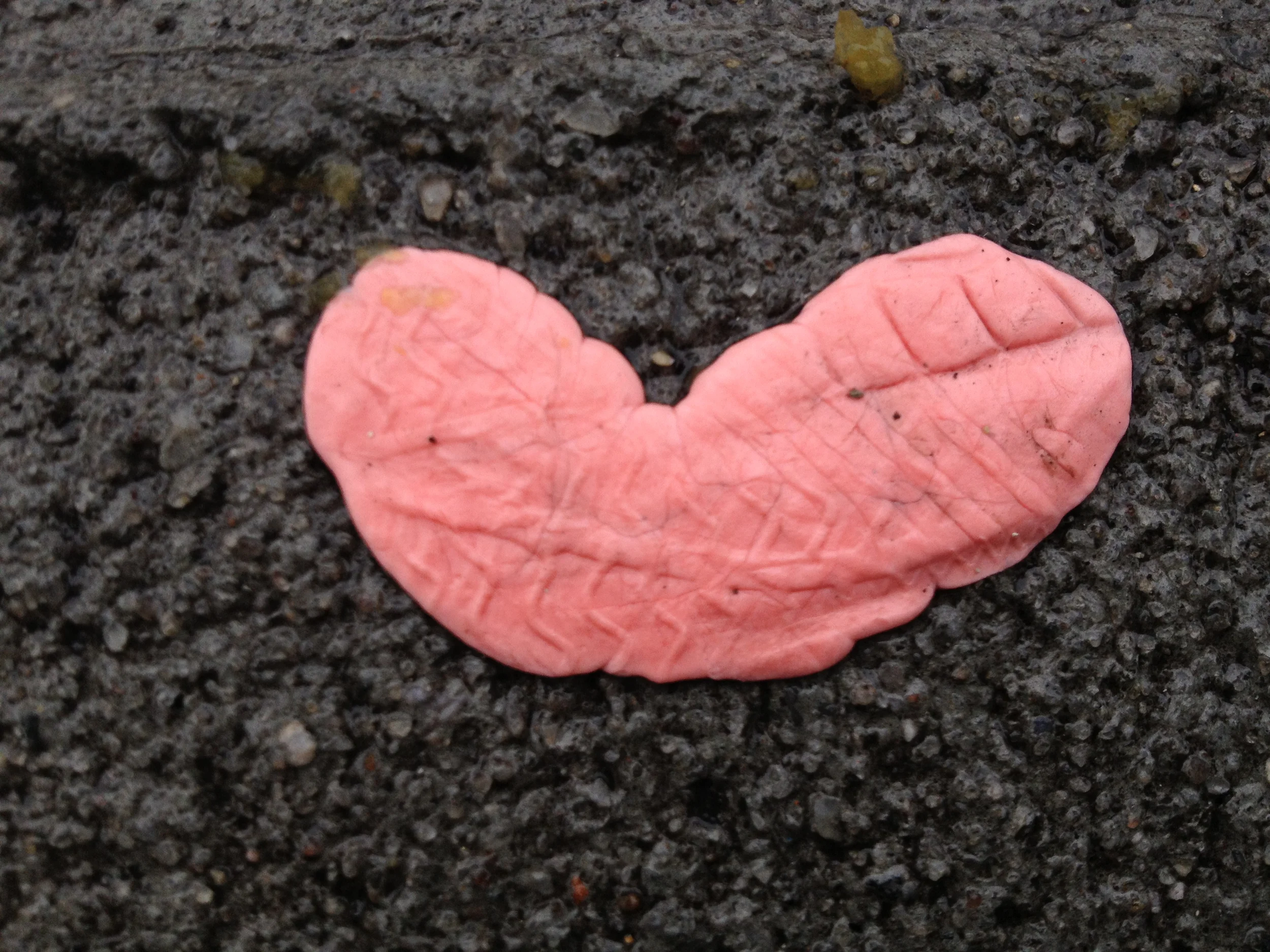 June 14th, 2013, 6:45 am, Steinway st x 25th Ave.  2013.