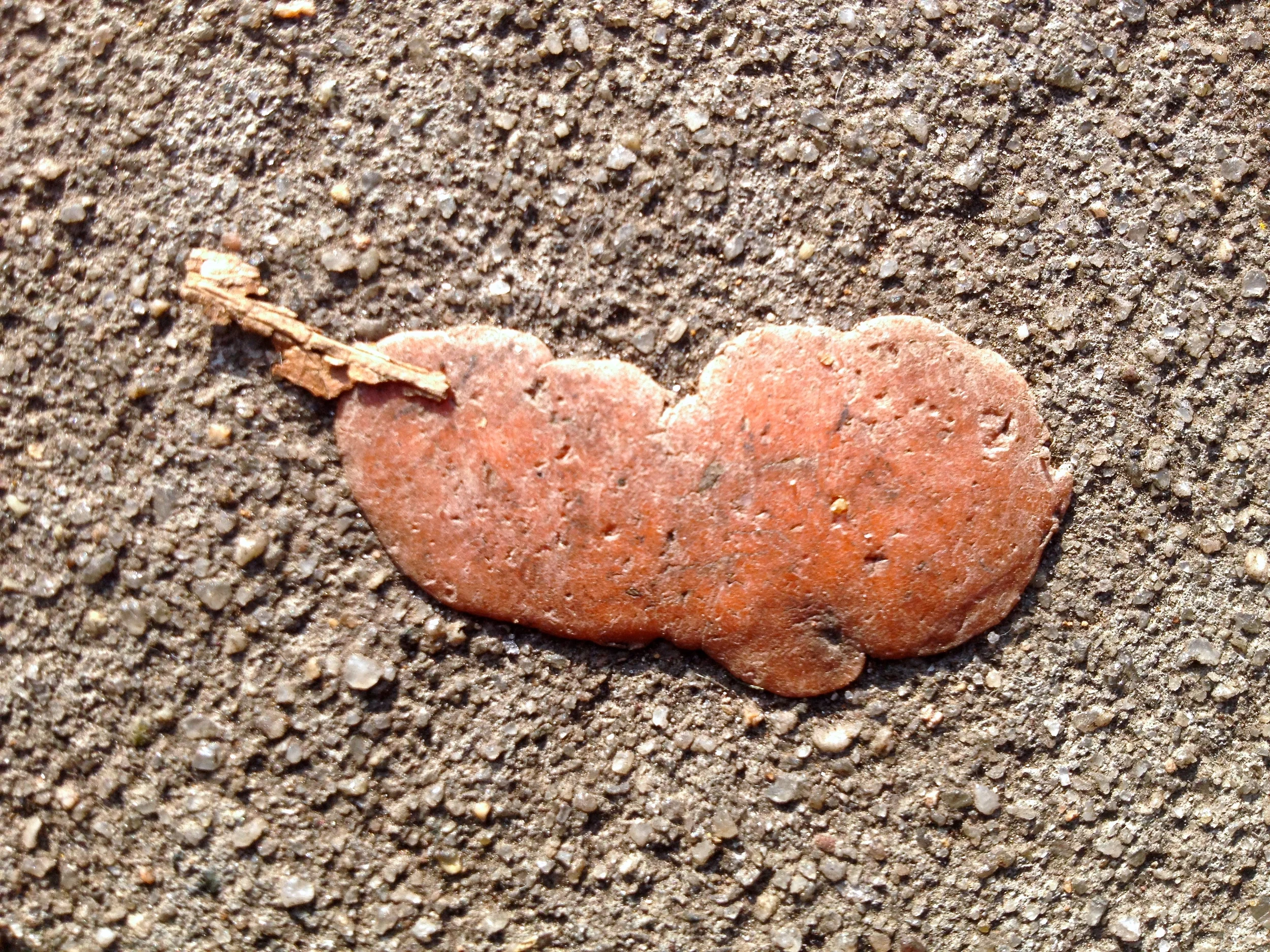 Dec.13th, 2013, 1:57 am” Ave N x 60th St, Brooklyn, NY” 2012