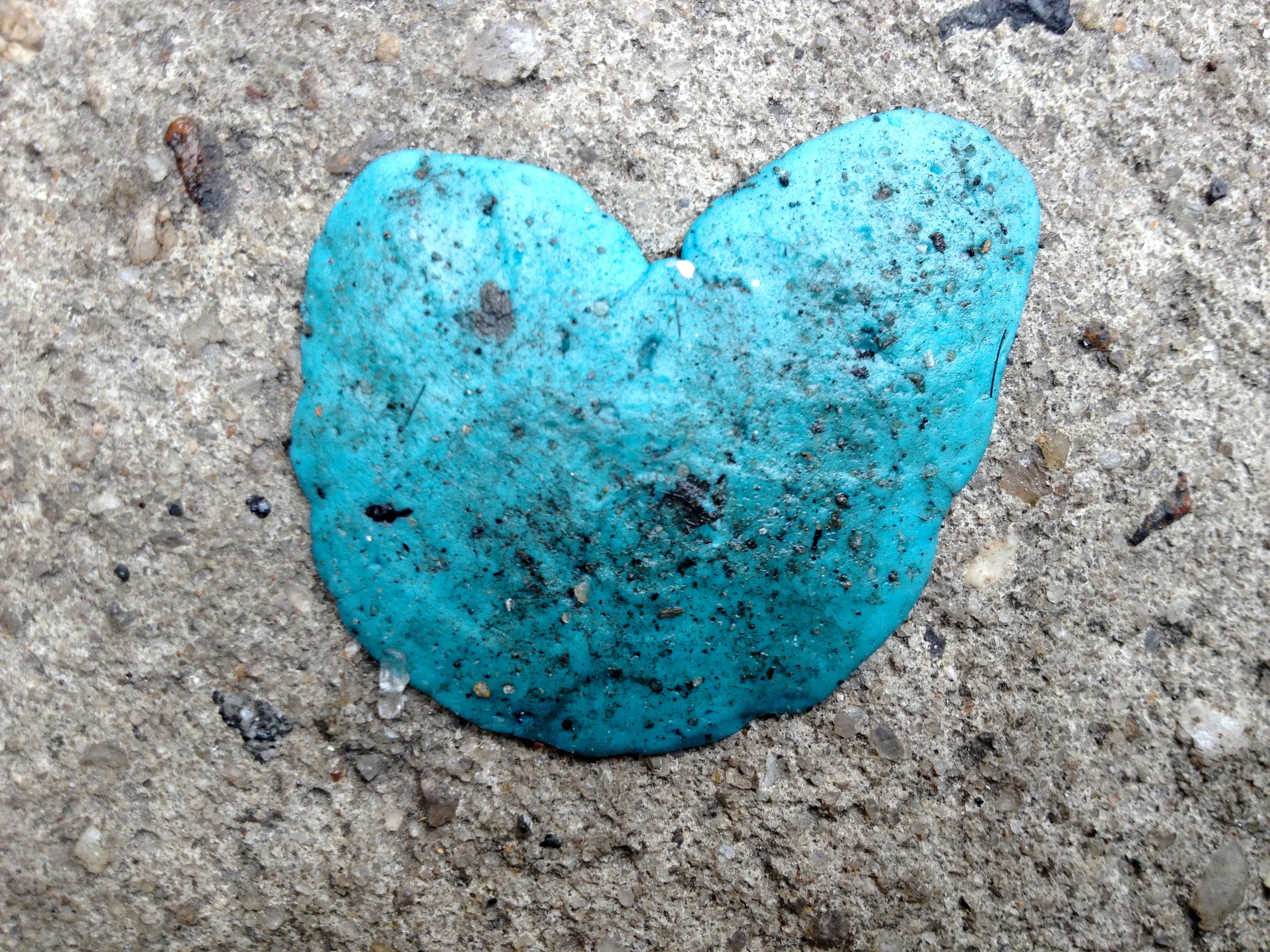 IMG_2951 - Version 2.JPG