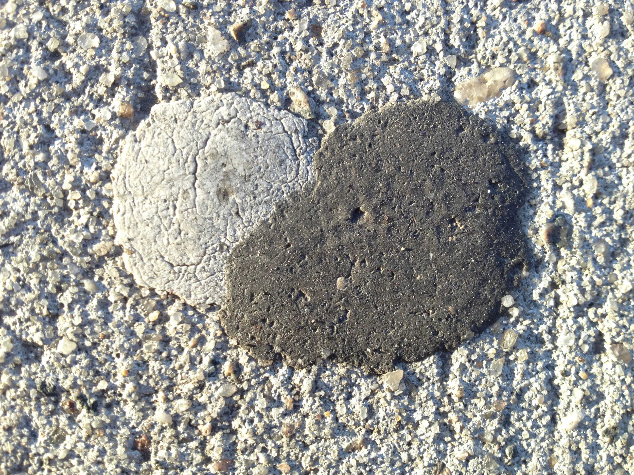 “April 4, 2013, 7:33am, 2013. 60th st x Northern Blvd, Woodside, NY.”  2013