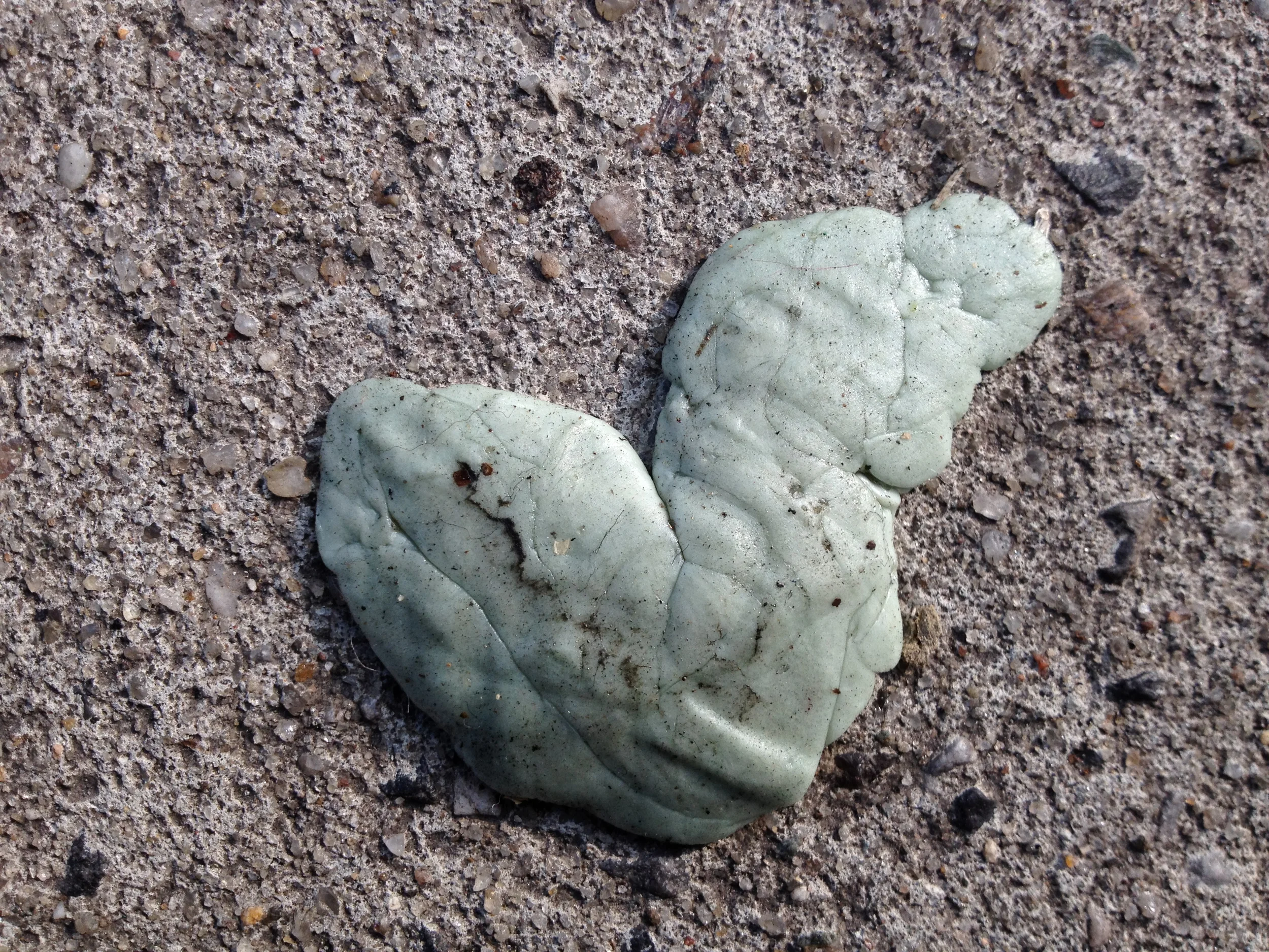 "May 26, 2012, 8:19 am, Astoria BLVD x 28th St, Astoria, NY” 2012