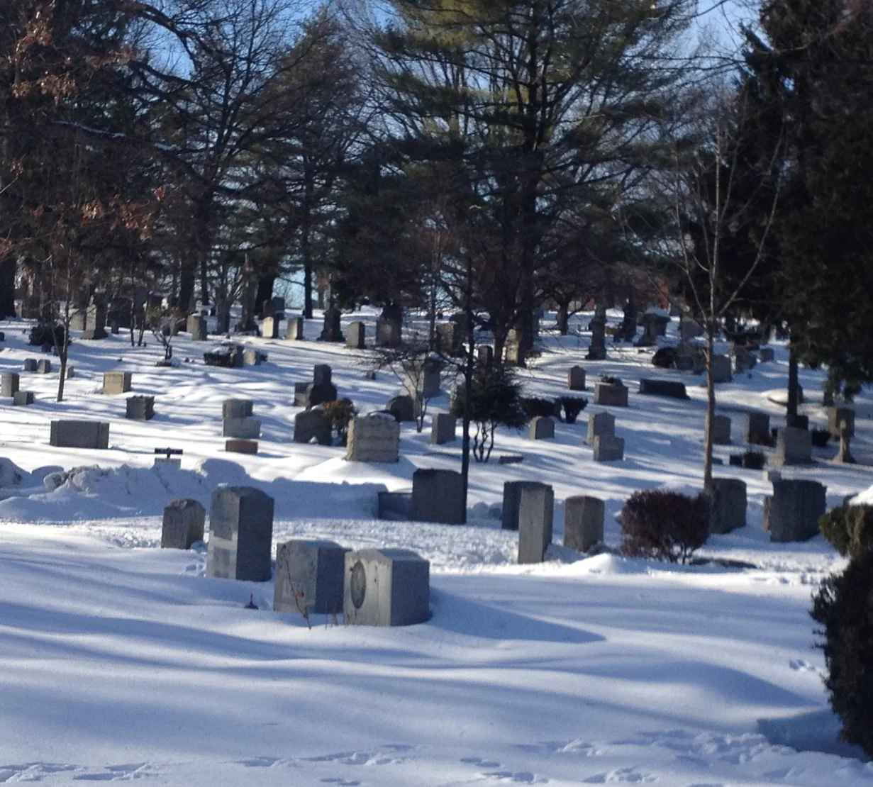  LOVES at Maple Grove Cemetery, Kew Gardens, New York. February 14 - March 31, 2014. 