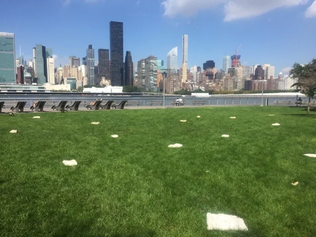 Installation “SKY”