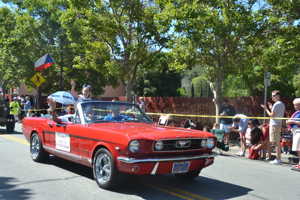 DSC_0101.jpg