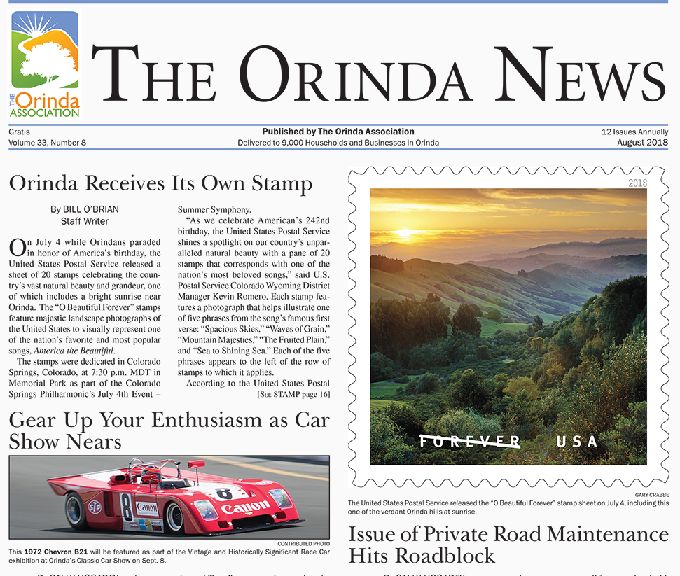 Youth Volunteers — The Orinda Association