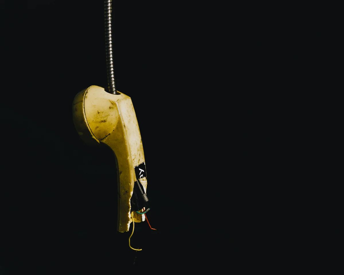web.L1055812.jpg