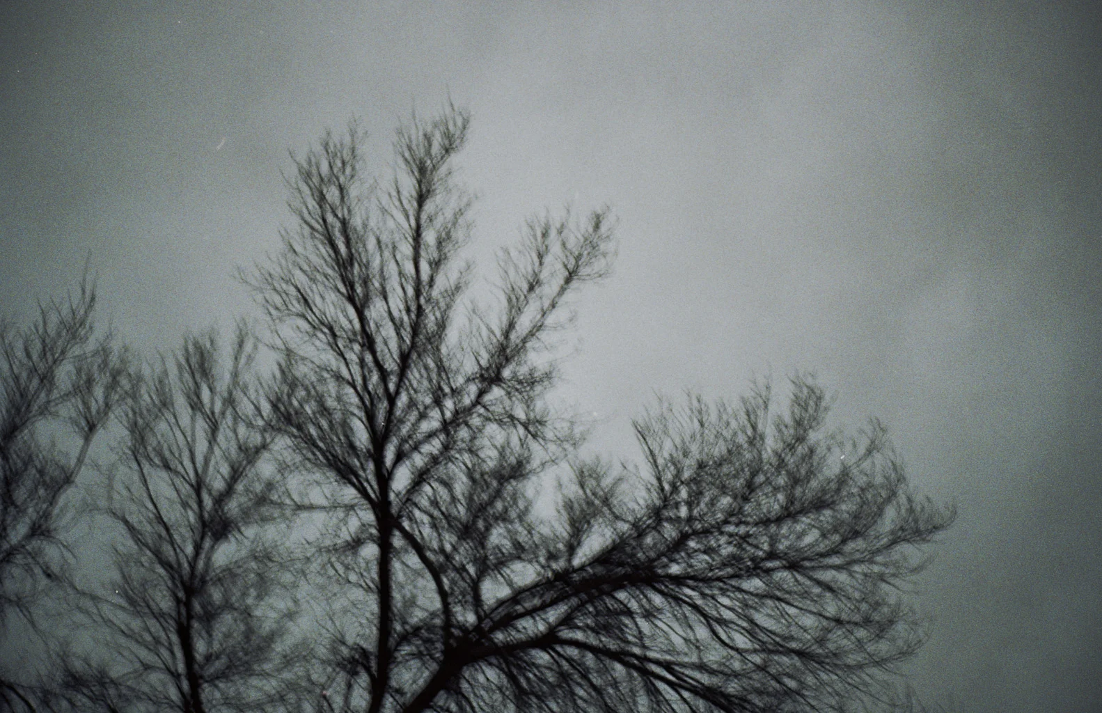 web.M6.228.jpg