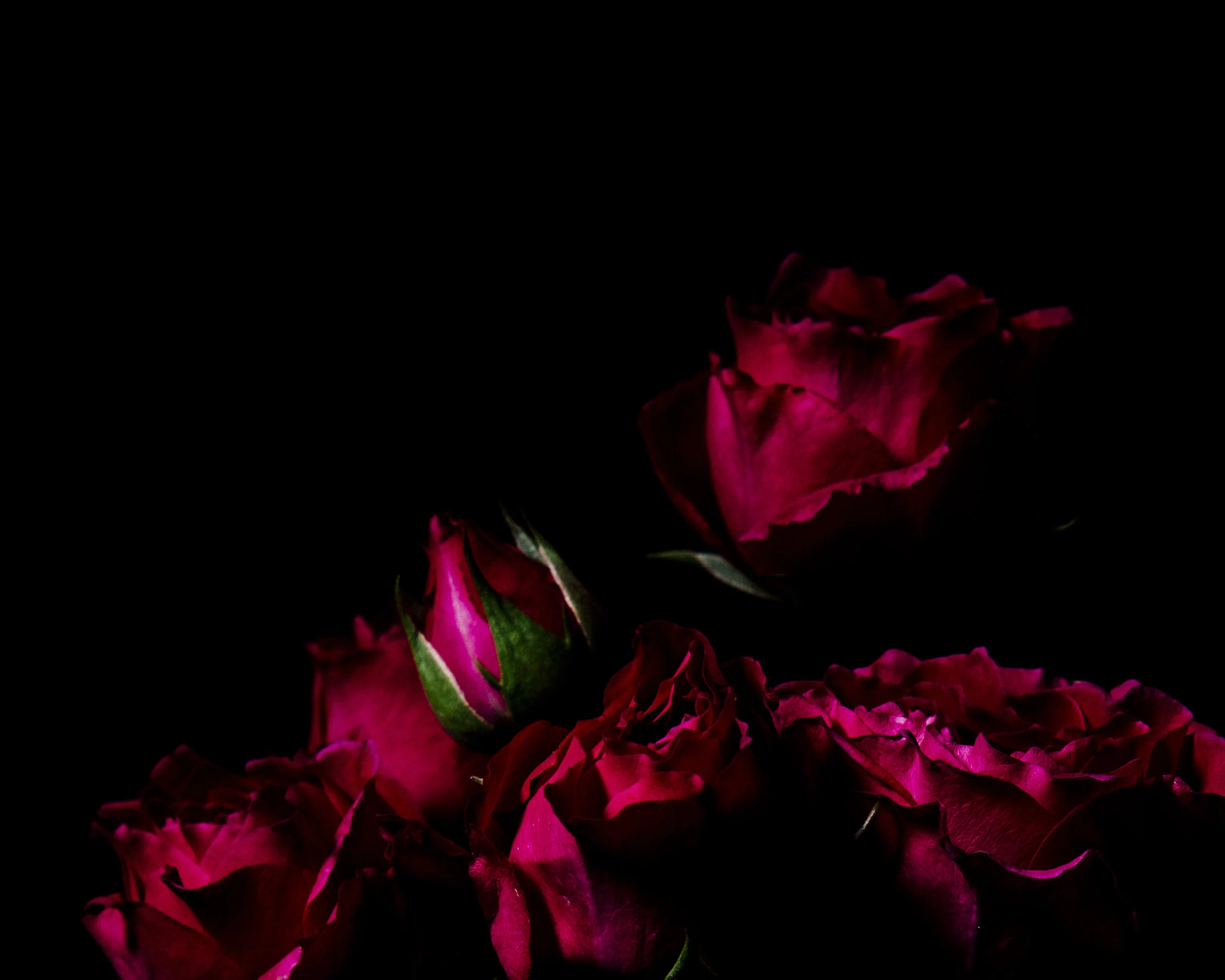 WTD.FlowerDSC_0841 copy.jpg