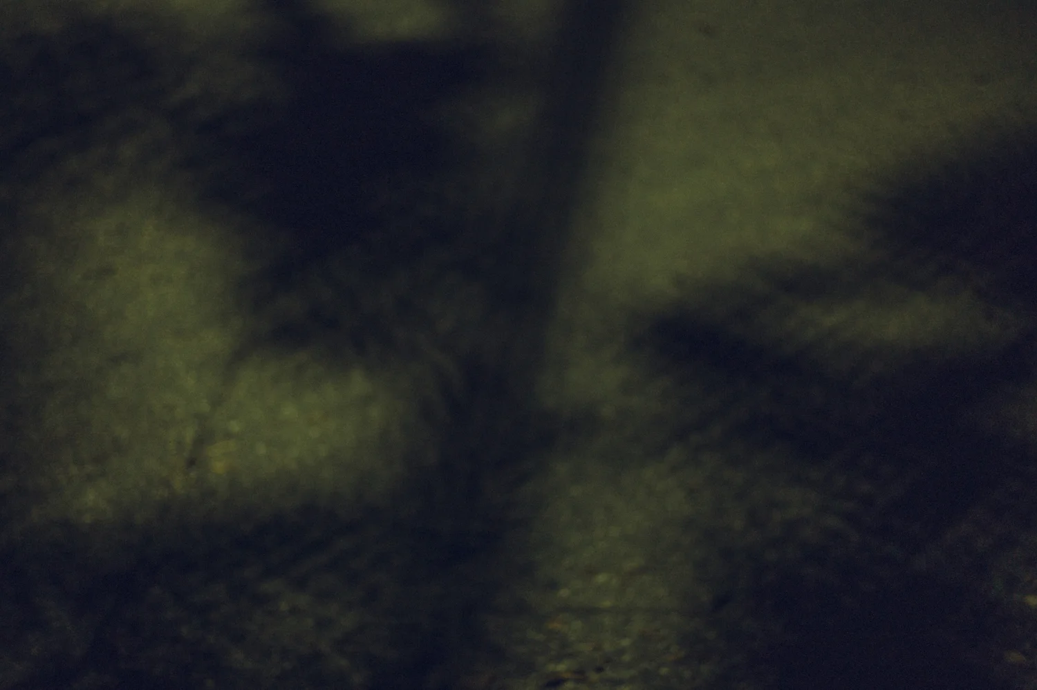 webL1066018.jpg