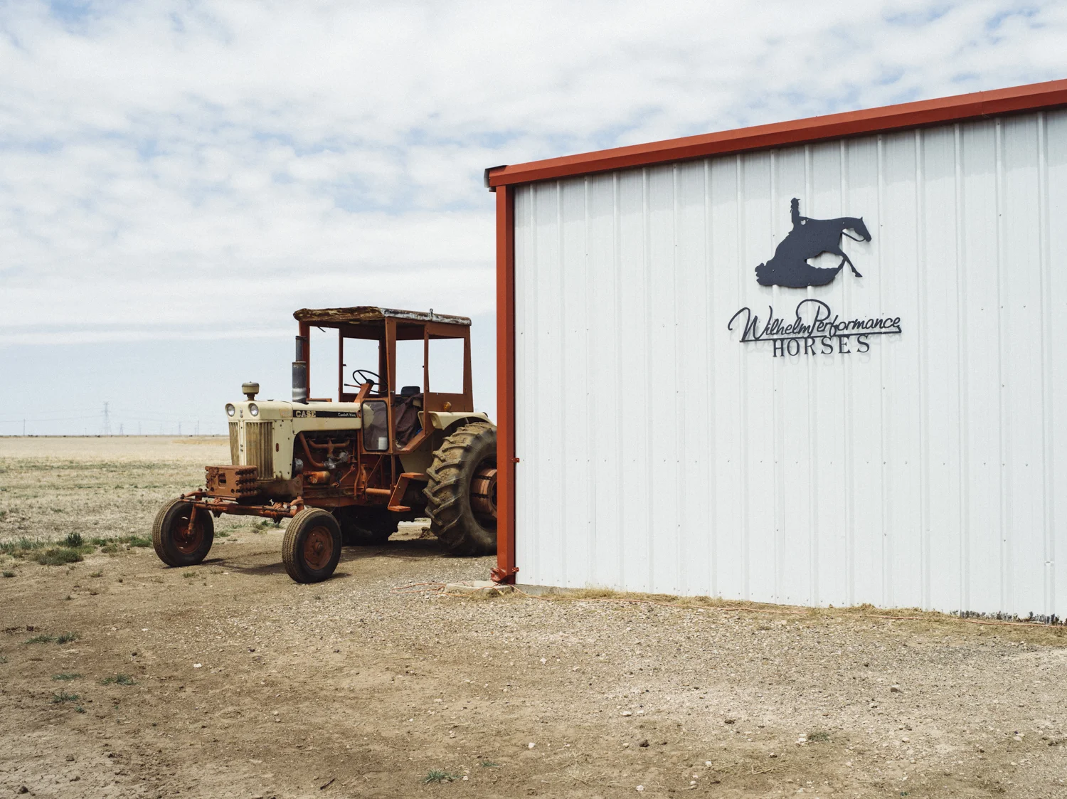 Wilhelm Performance Horses for Centennial Bank
