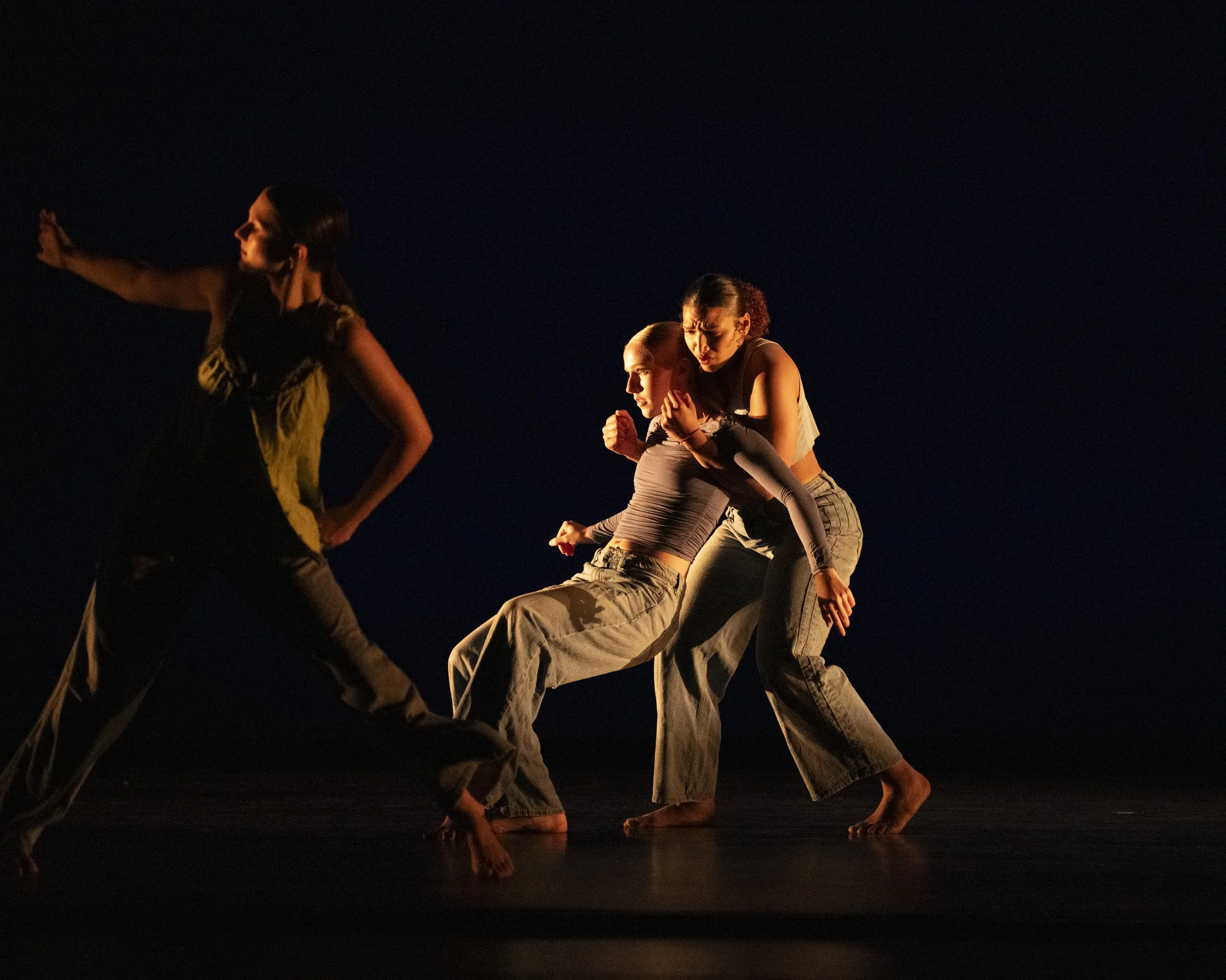 webD2TexasStateDanceDSC_0430.jpg