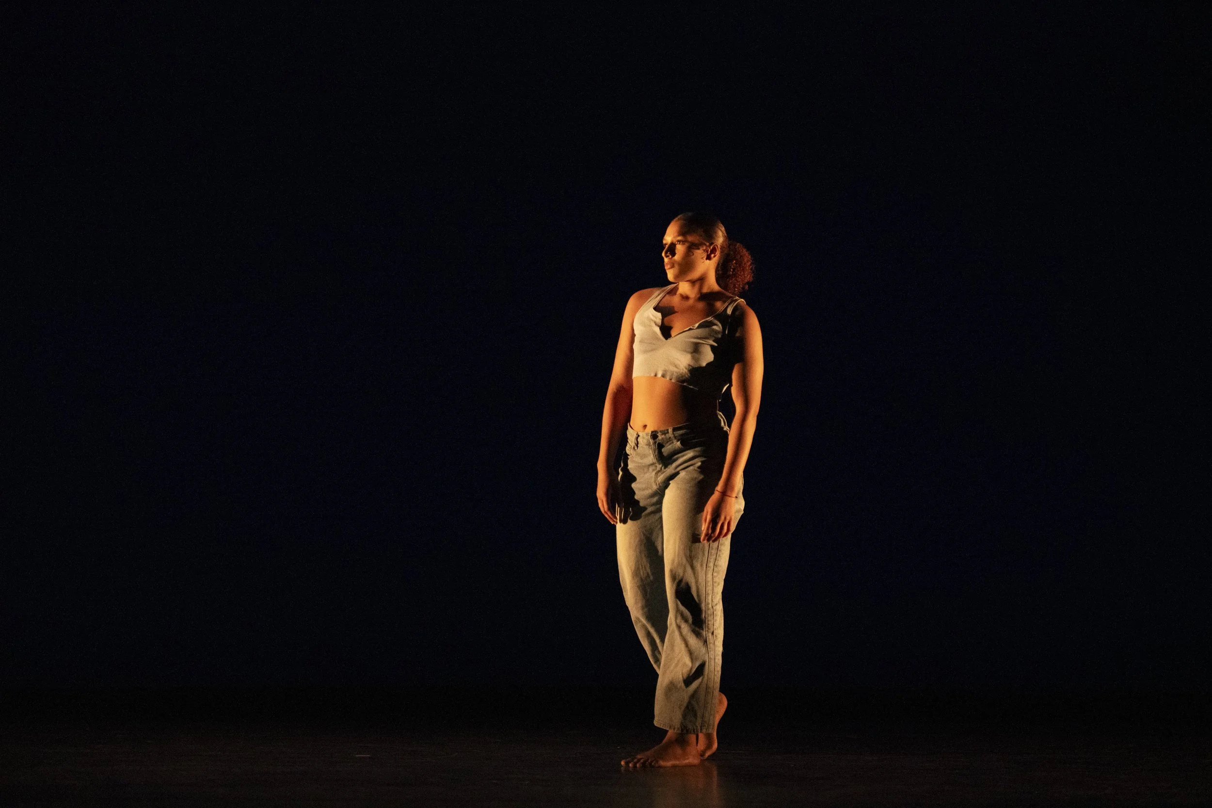 webD2TexasStateDanceDSC_0441.jpg