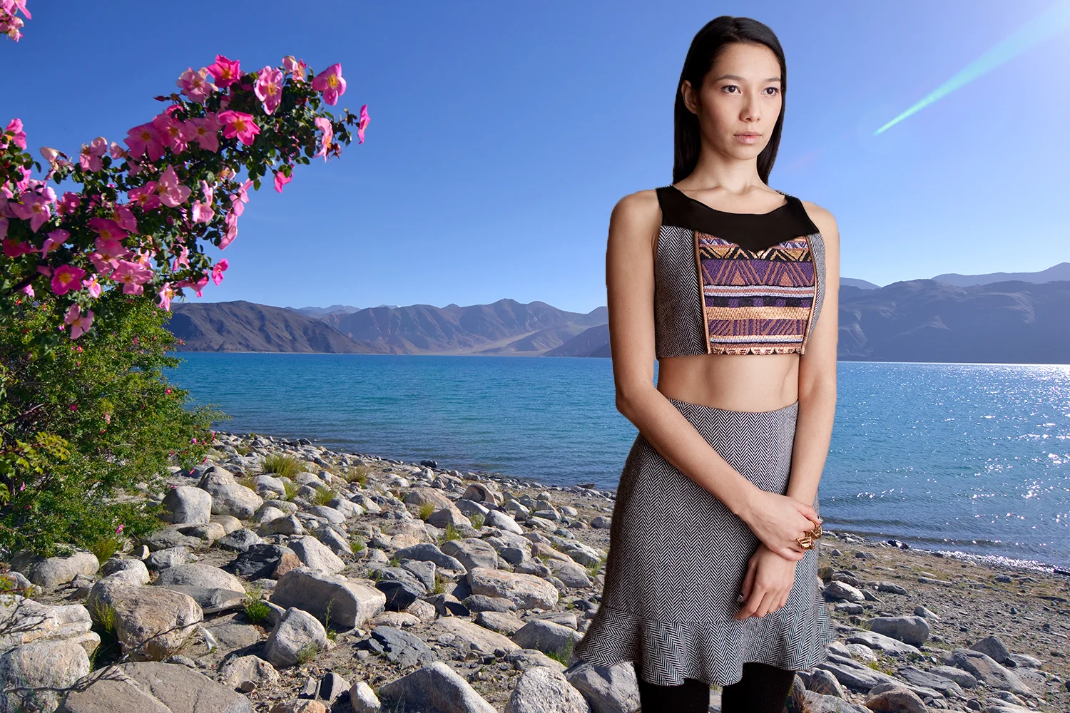 Ladakh Collection
