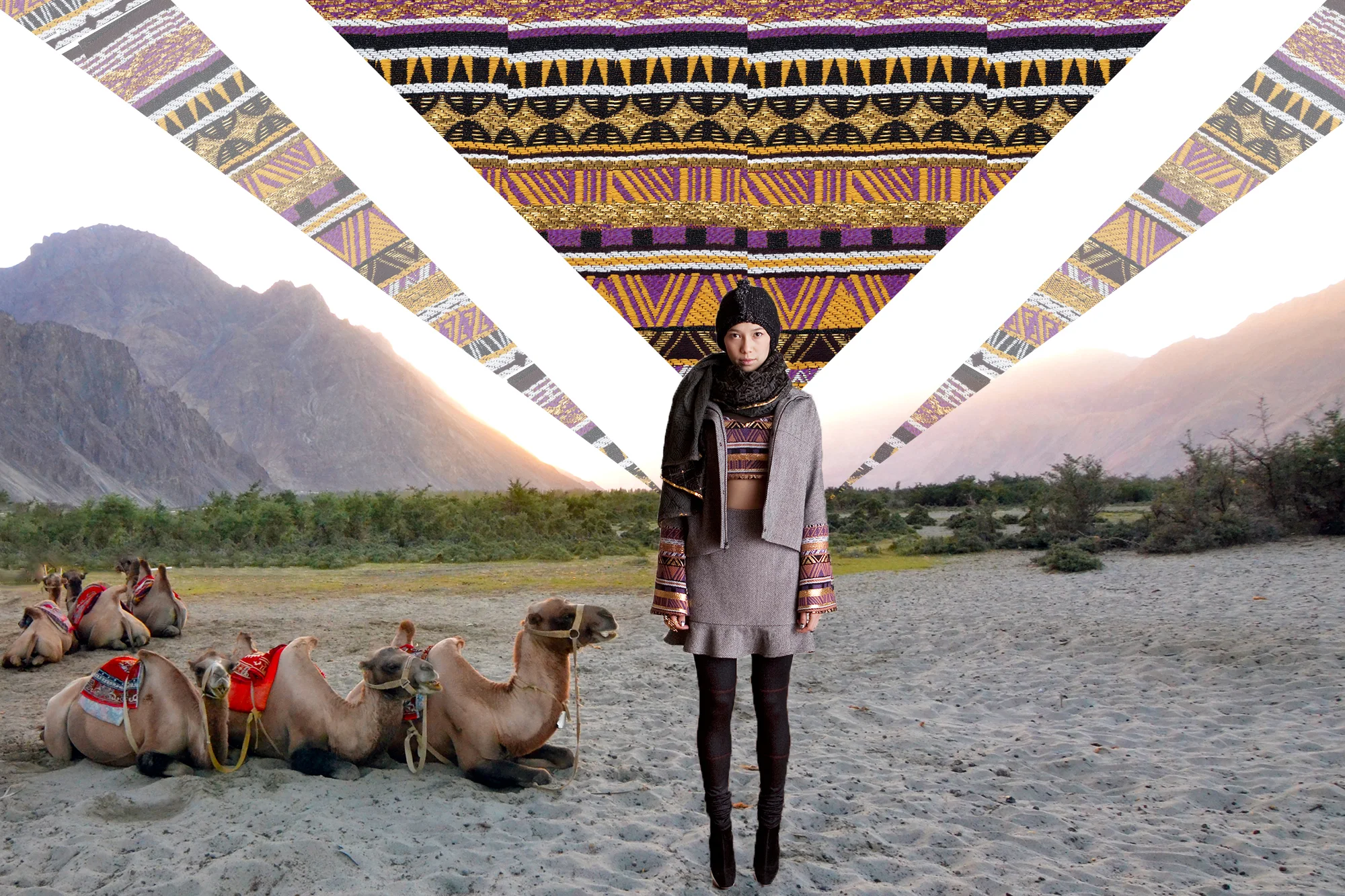 Ladakh Collection