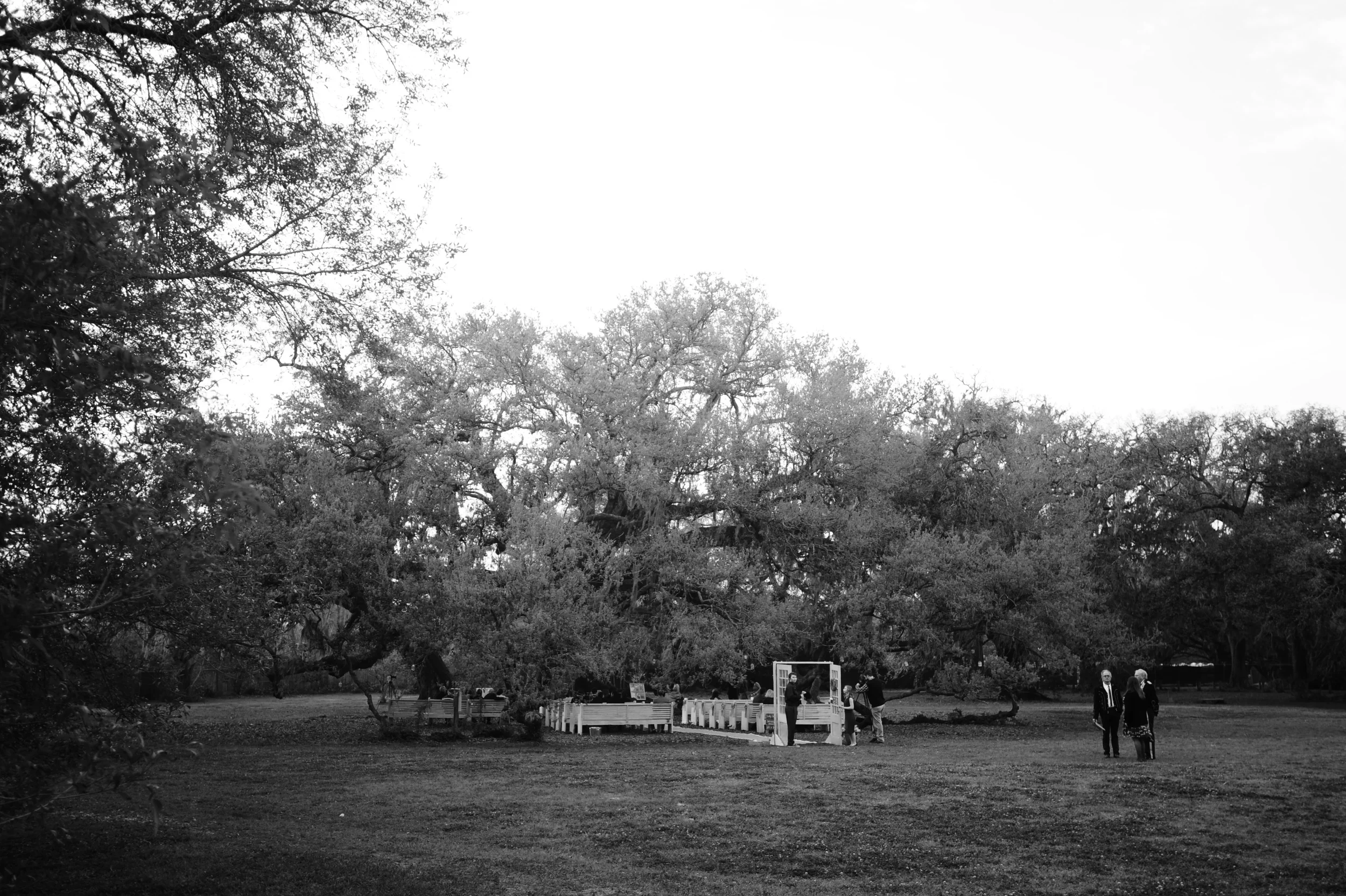 DSC_0842.jpg
