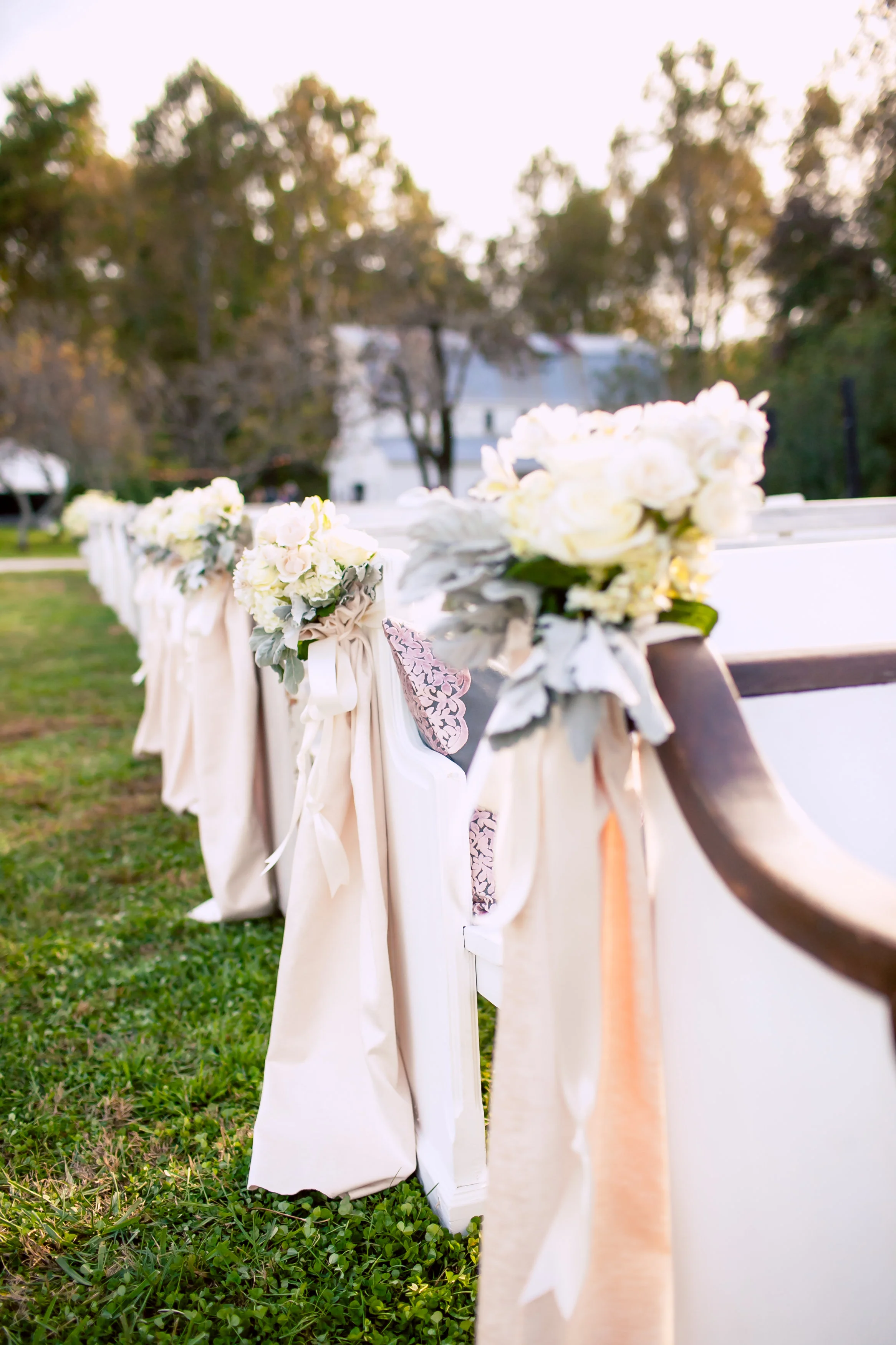 "I would use PEWS again, hands down" — P.E.W.S. Purely Elegant