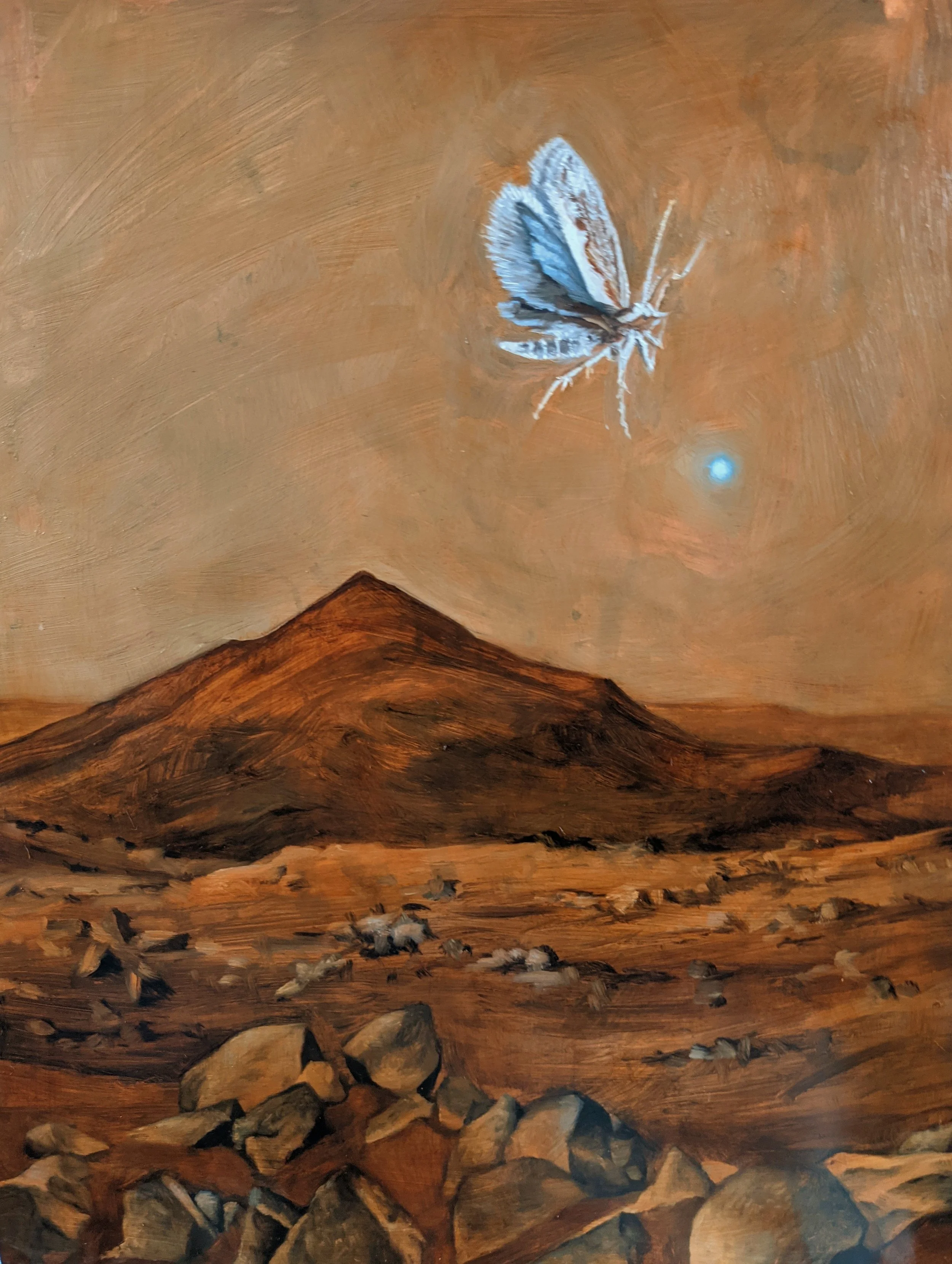 Curiosity, oil on copper, 400 x 300mm