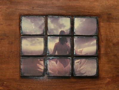 "Afterlife" - Jeffrey R. Krull Gallery - Z.E.E.D. Exhibition - 1st Place 2008 Medium - Polaroid 669 transfers watercolor paper mounted on wood