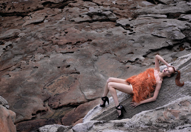 David Murrell Photographer Director